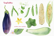 Watercolor vegetables and herbs, an Illustration by Elegantia (Thumbnail 2 of 7)