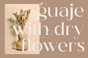 Hegam Modern and Stylish Serif Font, a Serif Font by Storytype Studio (Thumbnail 2 of 15)