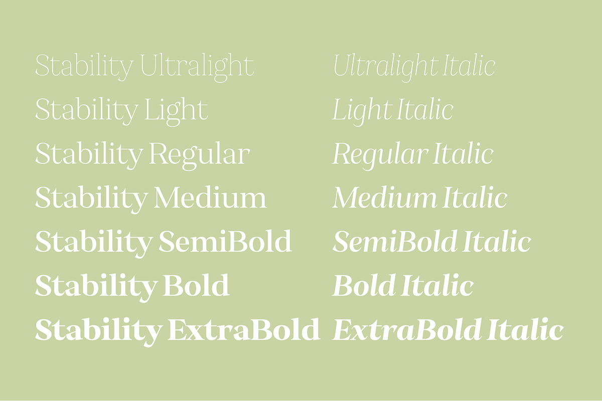 Stability, a Serif Font by OceaneM (Photo 2 of 7)