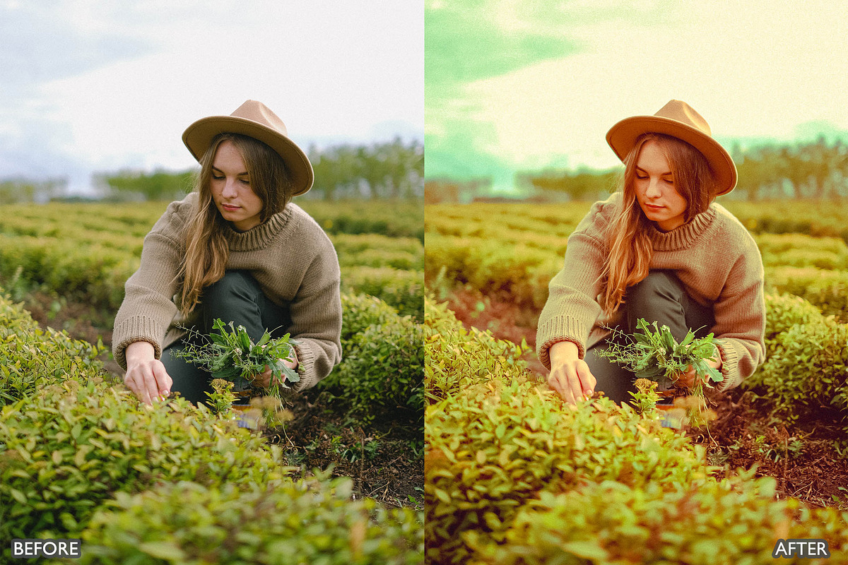 Steal Film Cinematic LR Presets, a Preset Add-On by AAA Presets (Photo 22 of 22)