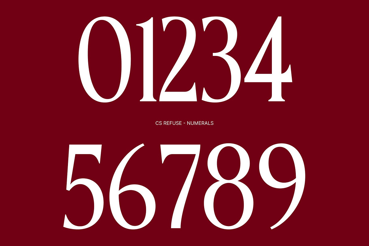 CS Refuse – Contemporary Font, a Serif Font by Craft Supply Co. (Photo 6 of 8)