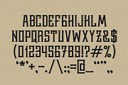 Whiskey label font + design elements, a Font by Gleb Guralnyk (Thumbnail 4 of 4)