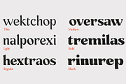 Kenza Font Family, a Serif Font by Alex_Camacho_Studio (Thumbnail 7 of 9)