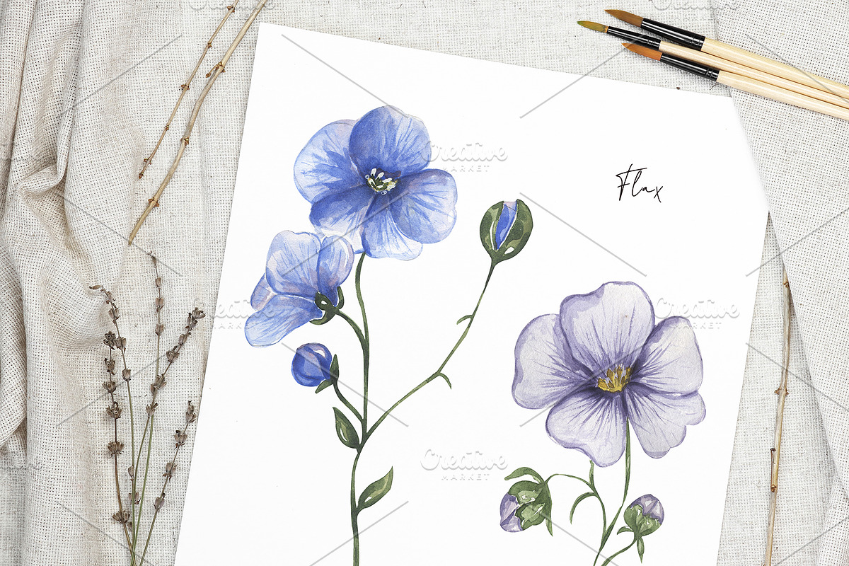 Watercolor Field Flowers Collection, a Decorative Illustration by MayaNavits (Photo 13 of 16)
