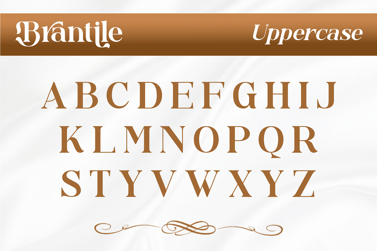 Brantile - Modern Serif Display Font, a Serif Font by Rishsketch (Photo 8 of 14)