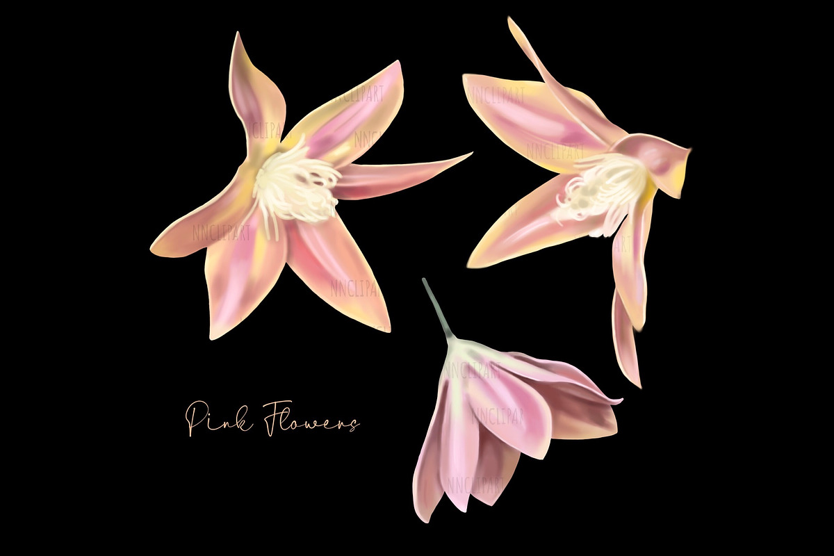 Wedding Tropical flower bundle, an Illustration by NNclipart (Photo 8 of 9)
