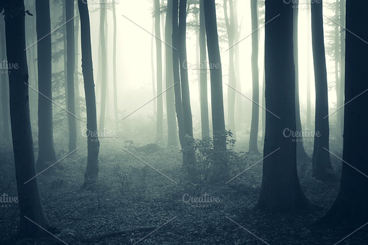 Mysterious forest halloween pack stock photo containing dark and eerie, a Nature Photo by Atmospheric visuals (Photo 5 of 5)