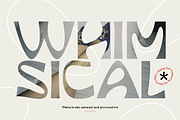 Thima, a Sans Serif Font by Rosario Nocera (Thumbnail 5 of 11)