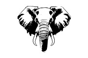Elephant Vector Elements Bundle, an Animal Illustration by balal (Thumbnail 2 of 17)
