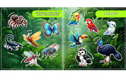Velcro game. Digital album Jungle, a Brochure Template by MYAFKA (Thumbnail 5 of 11)