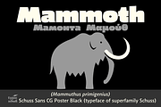 Schuss Sans CG Poster Black, a Sans Serif Font by typic schuss (Thumbnail 10 of 15)