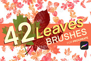 42 Procreate Leaves Brushes Set, a Brush Add-On by LiuBi Art (Thumbnail 1 of 3)