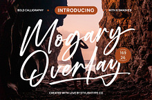 Mogary Overlay Bold Calligraphy Font