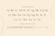Spotless - Modern Stylish, a Serif Font by RockboyStd (Thumbnail 10 of 12)