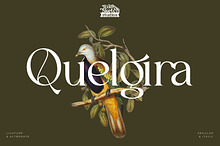 Quelgira - Serif Typeface Font