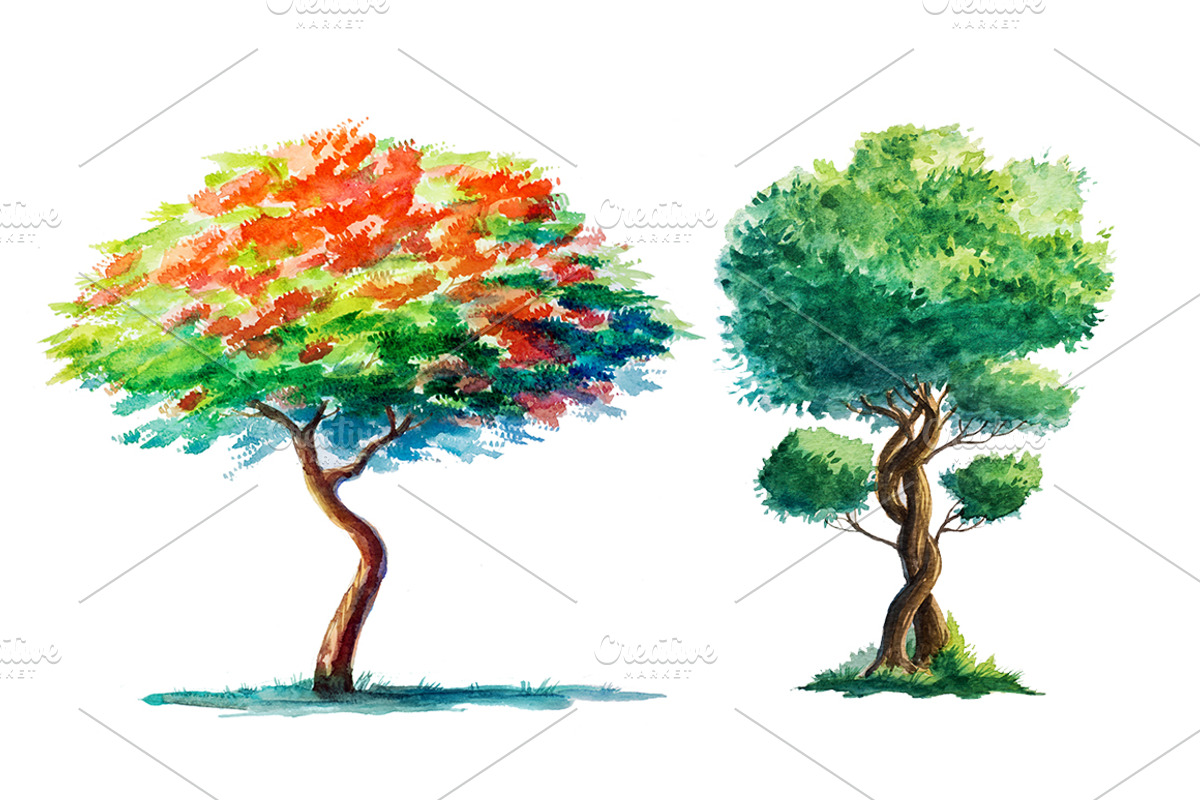 Watercolor Trees, an Illustration by AlexGreenArt (Photo 3 of 6)