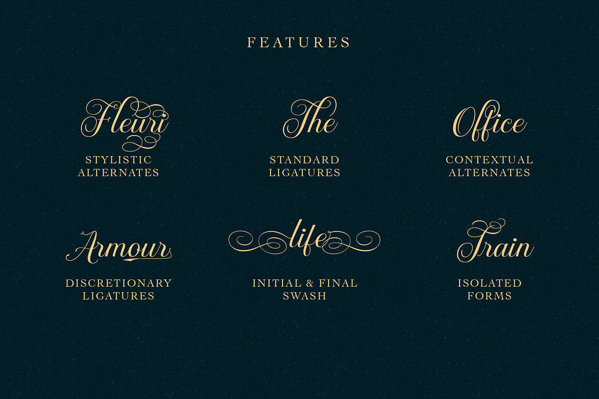 Brignola - Elegant Calligraphy preview 3