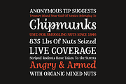 Alrighty Then | A Novelty Serif, a Serif Font by Ayca Atalay (Thumbnail 7 of 11)