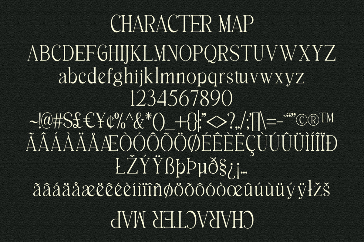 Breasto - Display Serif, a Sans Serif Font by tebaltipislab (Photo 13 of 18)