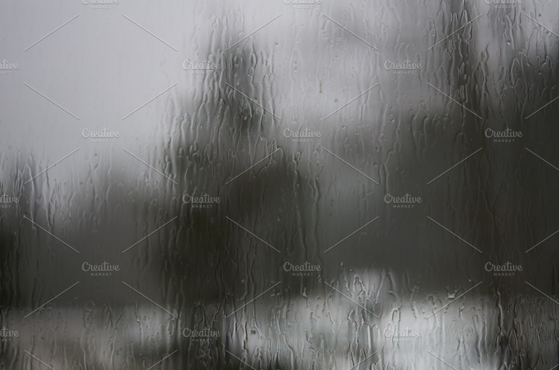 Trees distorted through raindrops