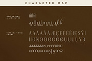 Qaflone Modern Minimalist Serif, a Serif Font by Storytype Studio (Thumbnail 14 of 15)