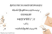 Party Dress Script, a Script Font by Beck McCormick (Thumbnail 8 of 8)