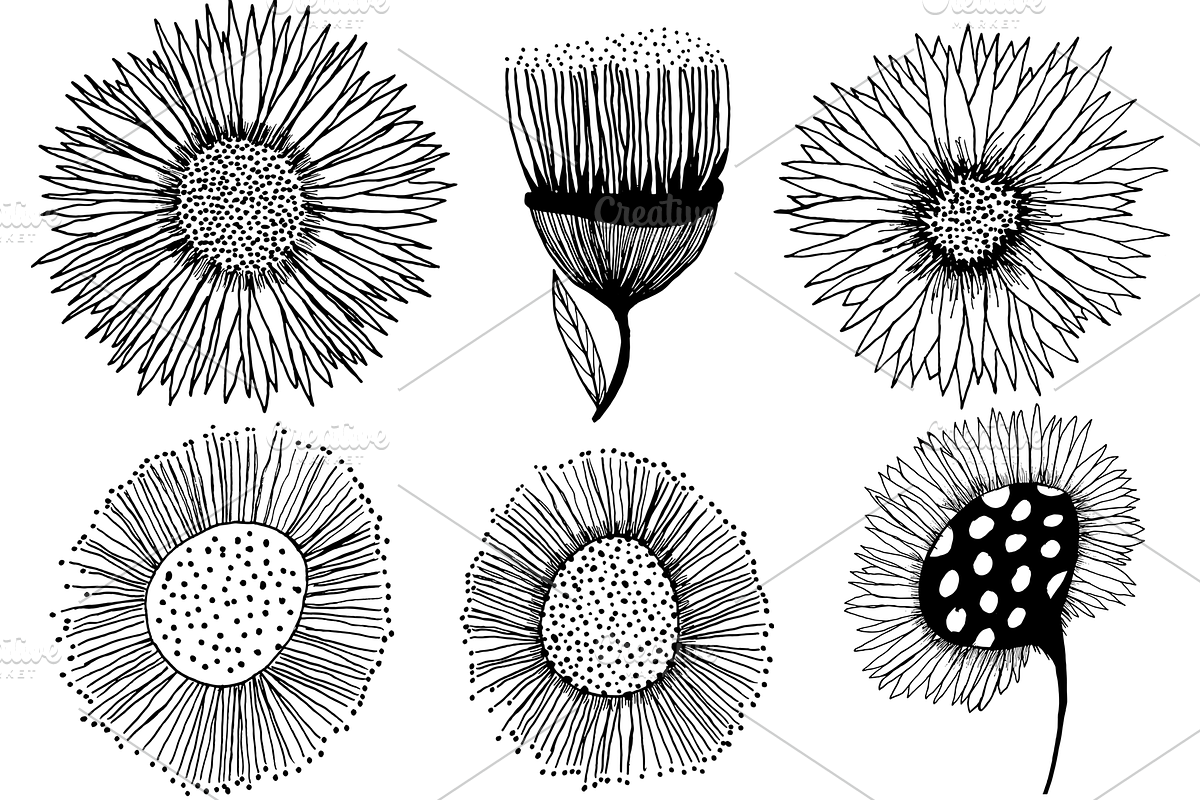 Decorative Sunflower Line Art Bundle, a Decorative Illustration by kristiangallagher (Photo 6 of 9)
