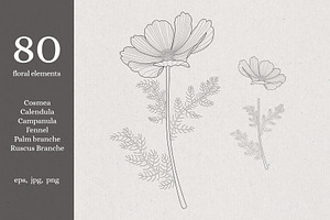 Summer Flowers. Line Art Floral Set.