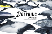Dolphins - watercolor set, an Animal Illustration by KatBranchArt (Thumbnail 1 of 4)