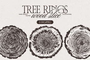 Tree Rings Wood Sketches, a Decorative Illustration by TheMountBirdStudio
