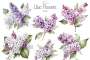 Lilac Flowers watercolour, an Illustration by TheCuteShop (Thumbnail 2 of 7)