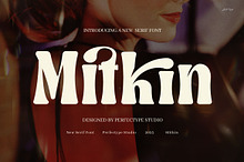 Mitkin Ligature Serif Font