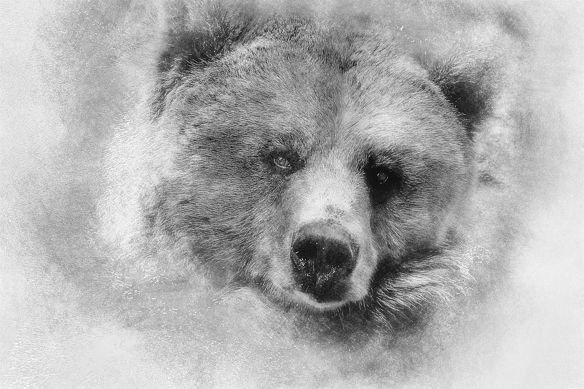 Sketch Photoshop Action, an Action Add-On by Sevenstyles (Photo 20 of 22)