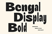 Bengal Mix, a Sans Serif Font by Craft Supply Co. (Thumbnail 1 of 8)