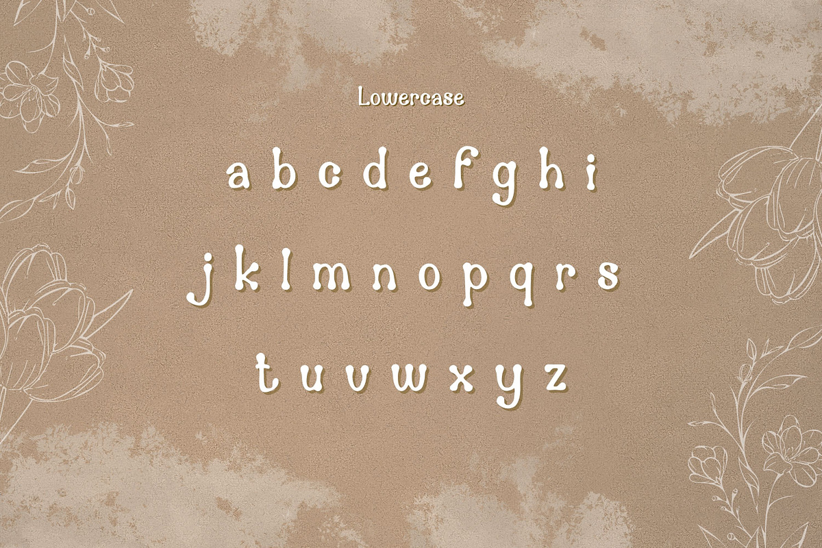 Antonika Font, a Handwritten Font by V Design Creator (Photo 4 of 9)