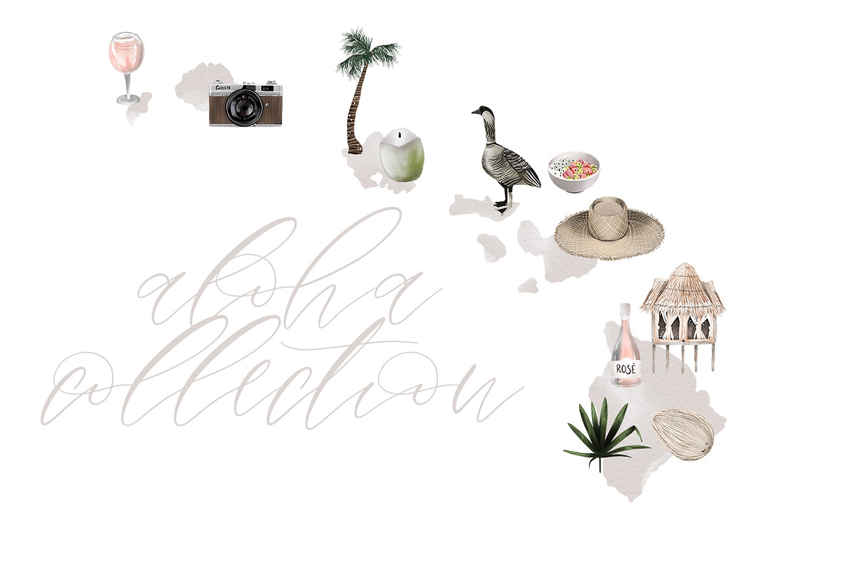 Hawaii | Aloha Collection, an Illustration by The Besotted Co (Photo 1 of 6)