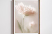 Ethereal Floral Backgrounds Bundle, an Abstract Photo by Allure Art (Thumbnail 8 of 26)