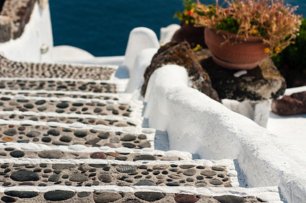 Flowers on a Roof Line preview 6