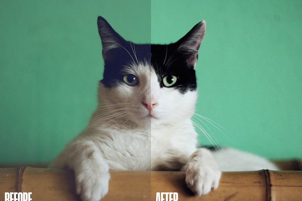 Lighting adjustment Photoshop action, an Action Add-On by Vicky's Place (Photo 6 of 7)