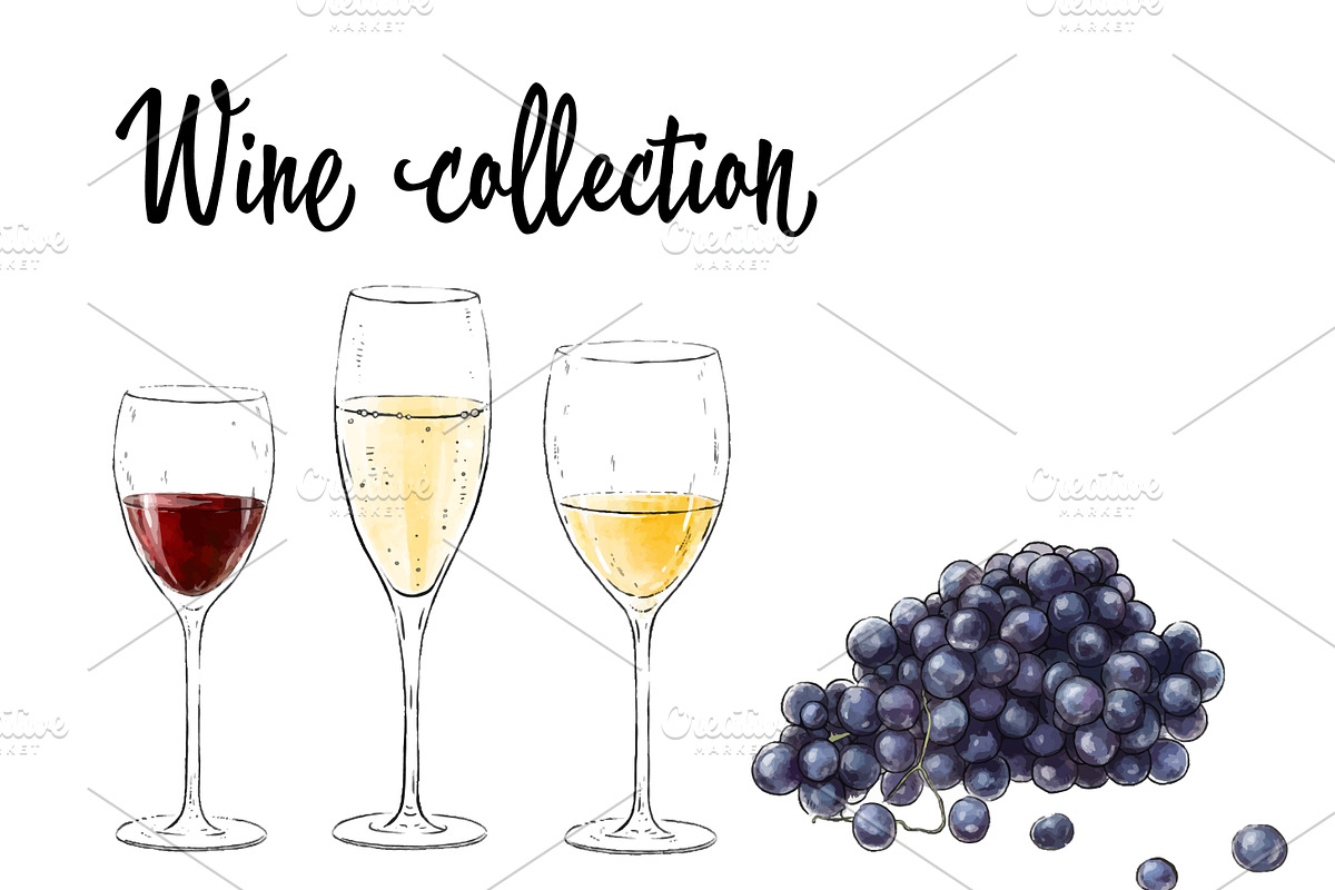 Wine artistic set, a Food Illustration by Schumacher Shop (Photo 4 of 8)