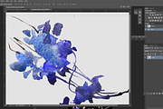 Blue floral watercolor set, a Decorative Illustration by Tamaretto (Thumbnail 7 of 9)