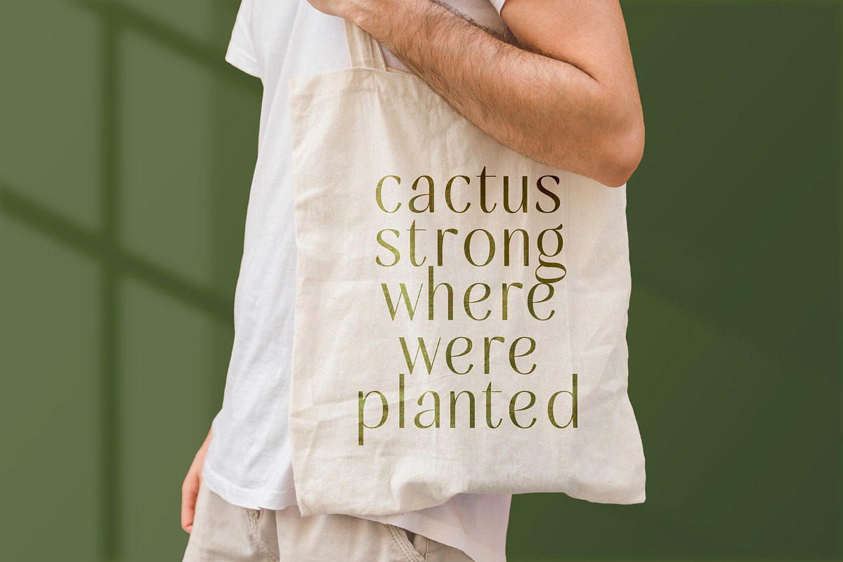 Mugia Elegant Modern Display Font, a Sans Serif Font by timelesstype.co (Photo 11 of 20)
