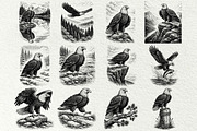 Eagle Wildlife Engraving Graphics, an Animal Illustration by DENIDigitalArtSudio (Thumbnail 5 of 7)