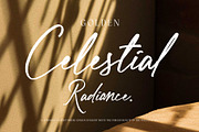 Ballegha - Beautiful Script, a Handwritten Font by Novitype (Thumbnail 9 of 11)