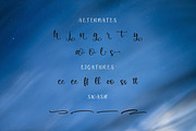 Nattalea, a Script Font by Integritype Studio (Thumbnail 11 of 15)