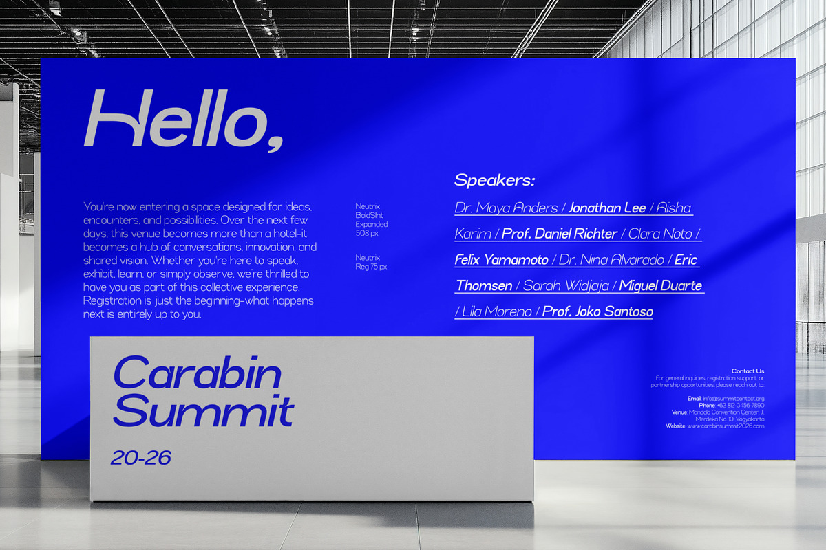 Neutrix, a Sans Serif Font by Black Studio (Photo 12 of 16)