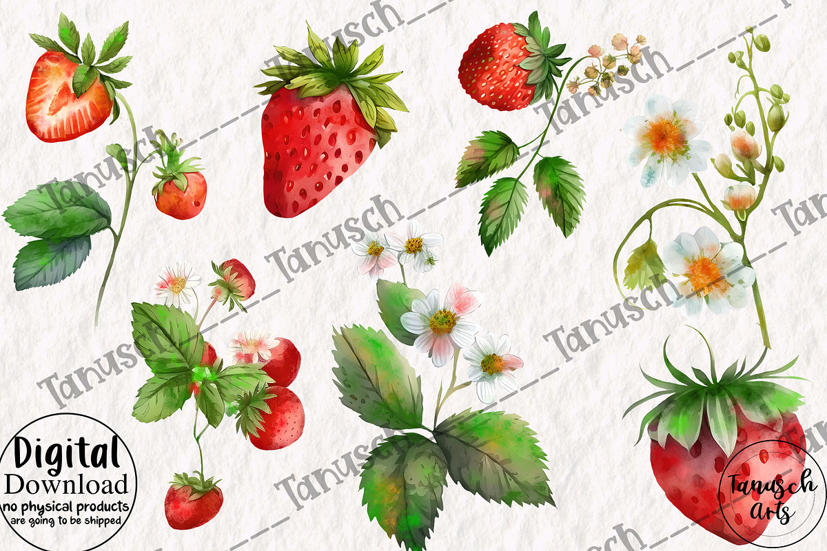 Watercolor Strawberry Clipart Berry, a Food Illustration by TanuschArts (Photo 2 of 4)