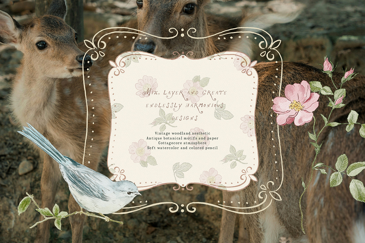 Bramblewood Tales Woodland Clipart, a Decorative Illustration by Muse Artist (Photo 6 of 29)