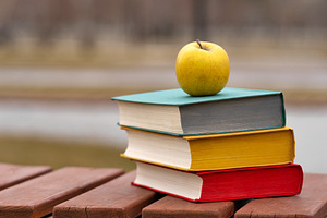 Yellow apple resting on top of books, a School & Education Photo by Elena Vagengeim