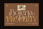 Drak Sistem Elegant Swash Serif Font, a Serif Font by Elegant Font (Thumbnail 3 of 8)